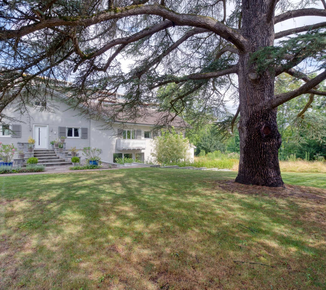 <h2><strong>Magnifique maison familiale de charme à Versoix</strong></h2>